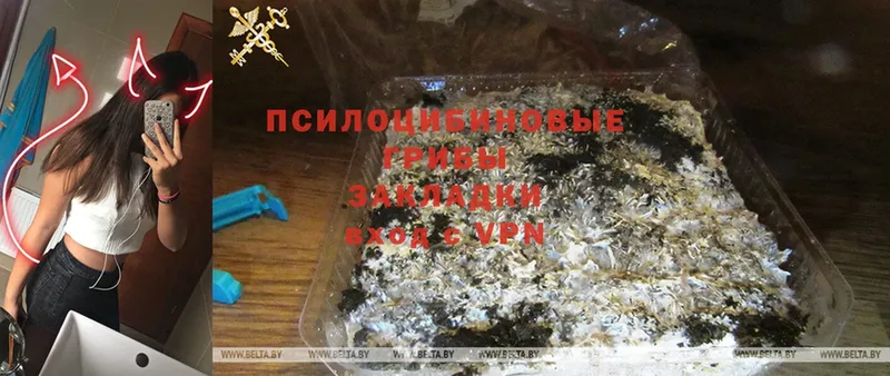 Псилоцибиновые грибы MAGIC MUSHROOMS  где купить наркотик  Отрадная 